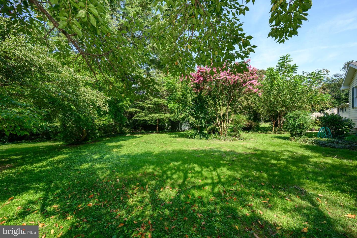 217 Edmore Rd Property Photo 34