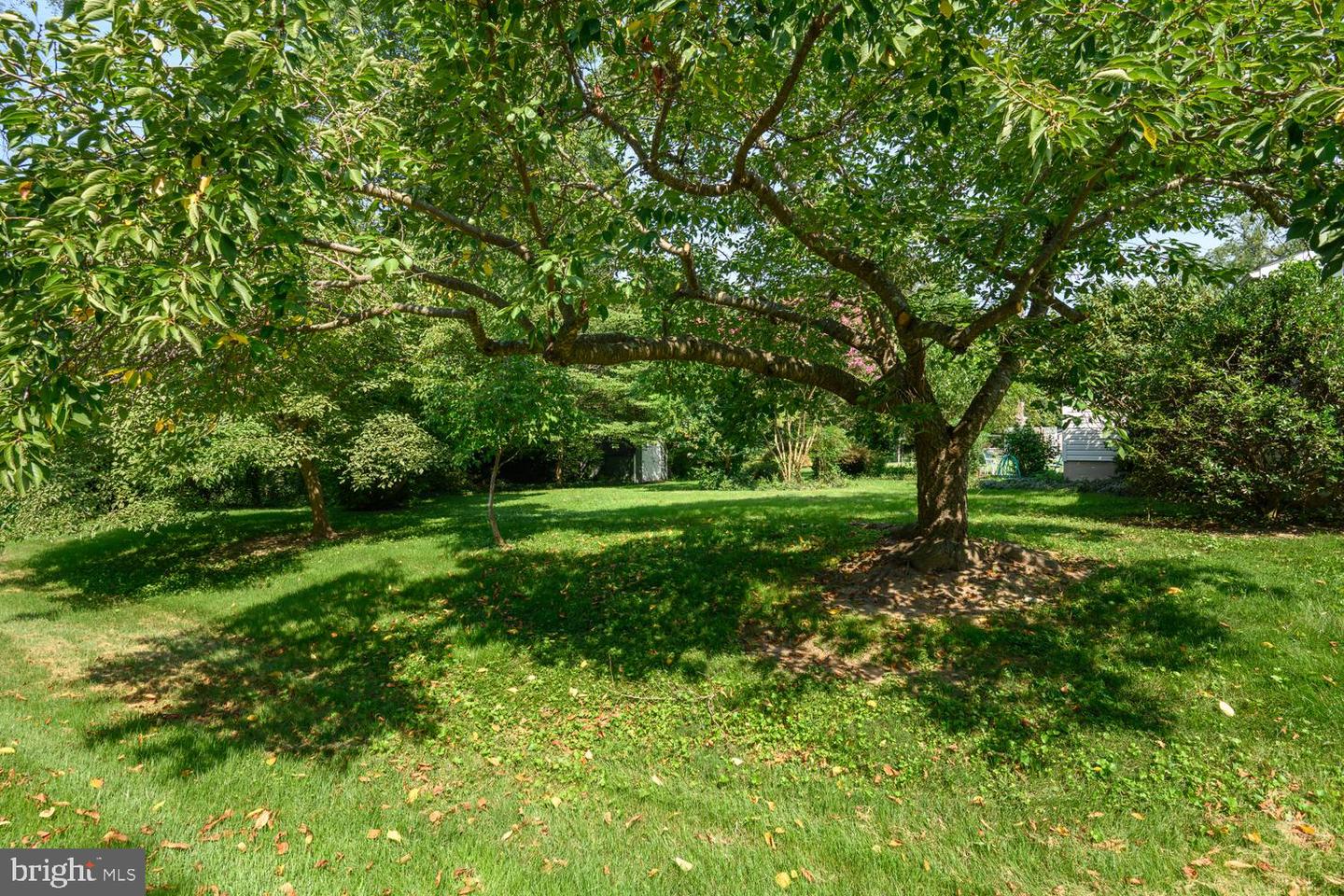 217 Edmore Rd Property Photo 35