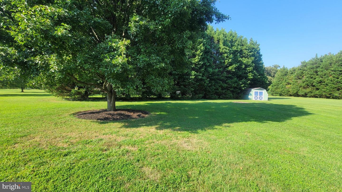 112 Creek Point Rd Property Photo 13