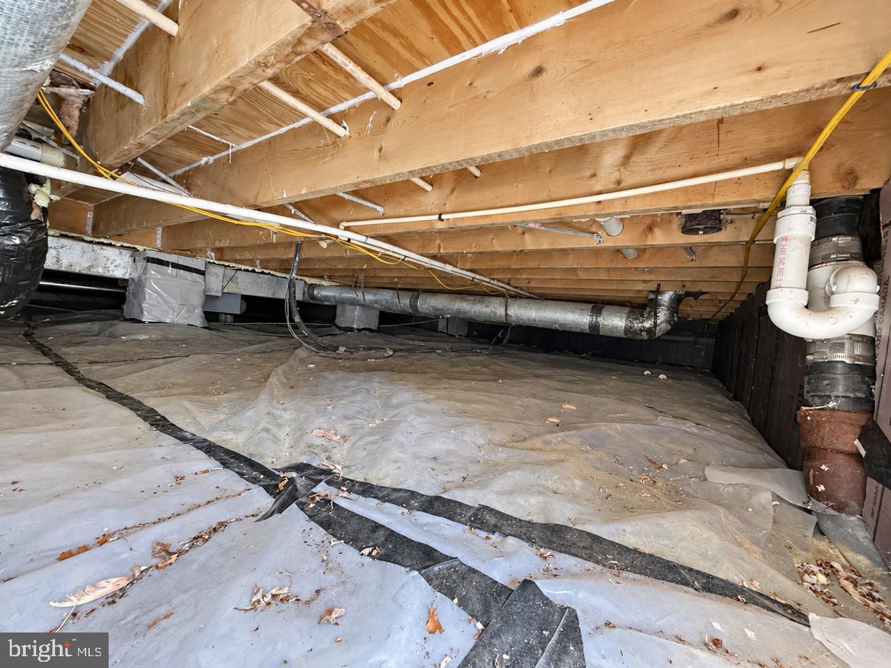 101 Chestnut Rd Property Photo 27