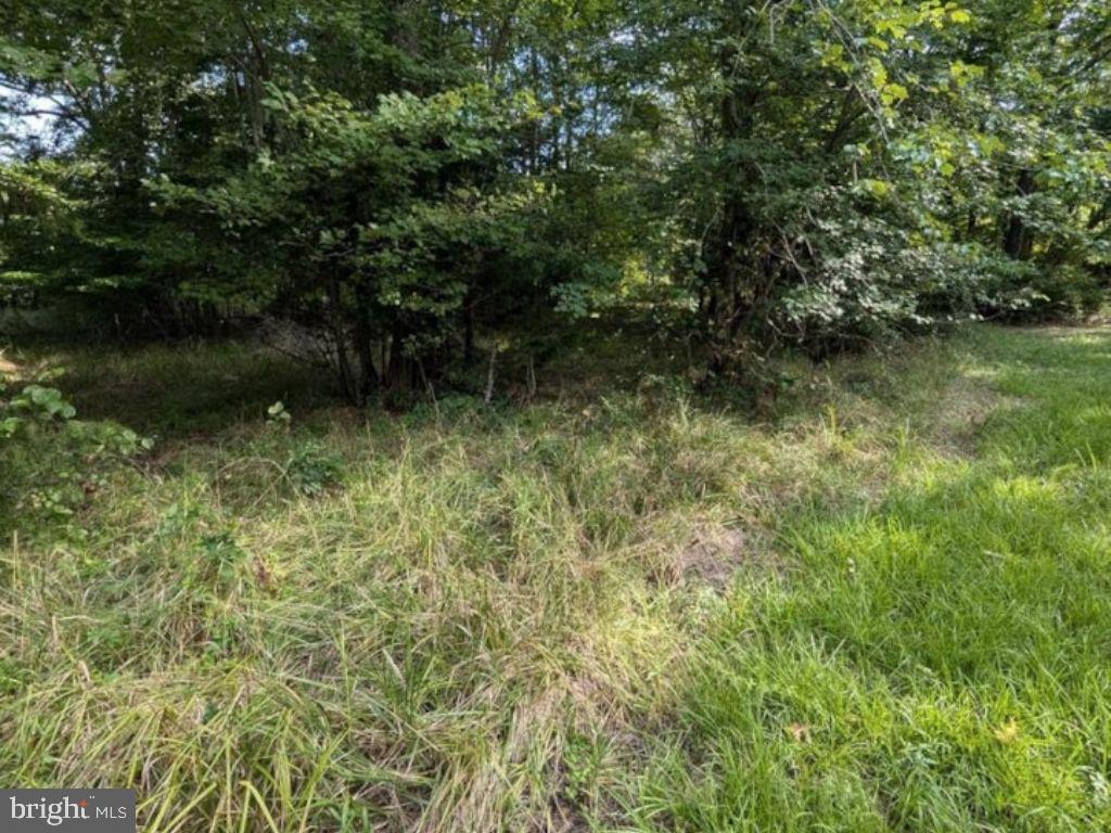 36810 Bushwood Property Photo 1