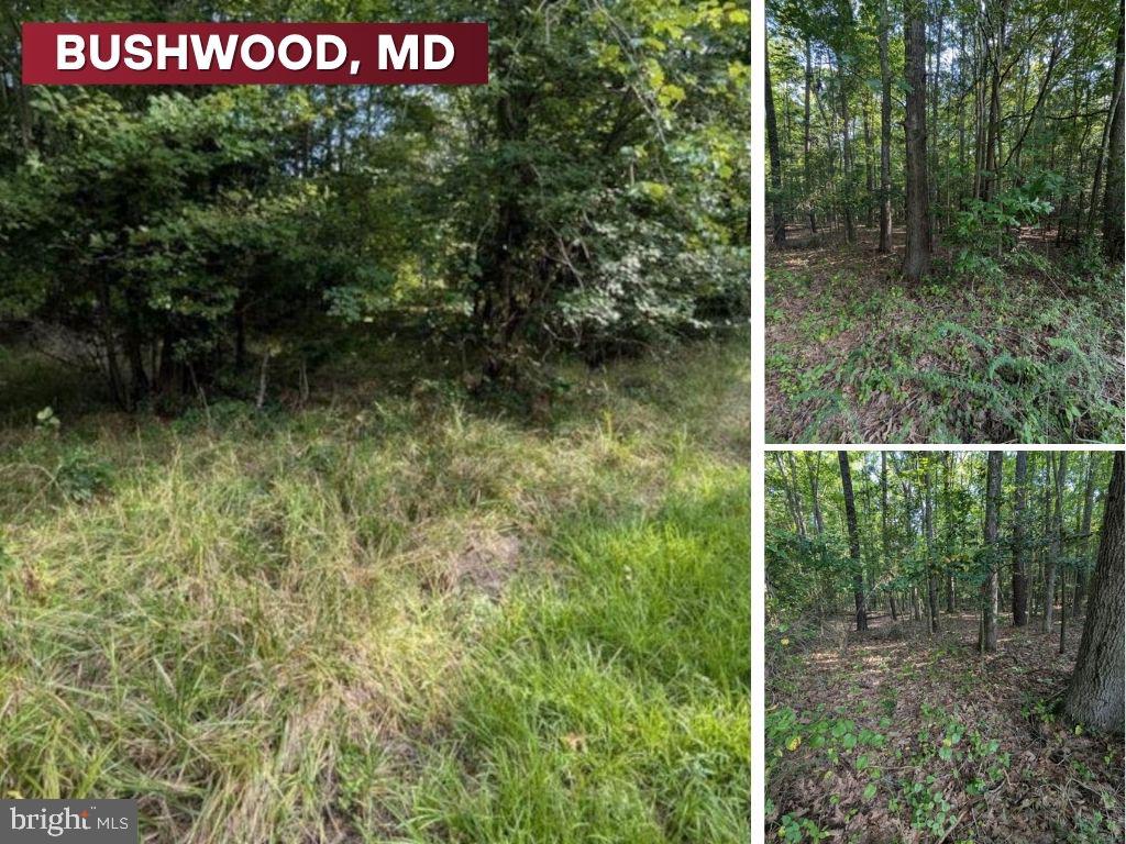 36810 Bushwood Property Photo 1