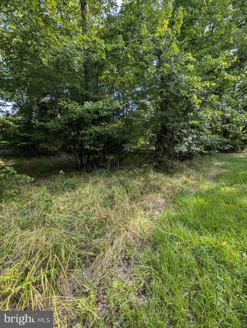 36810 Bushwood Property Photo 3