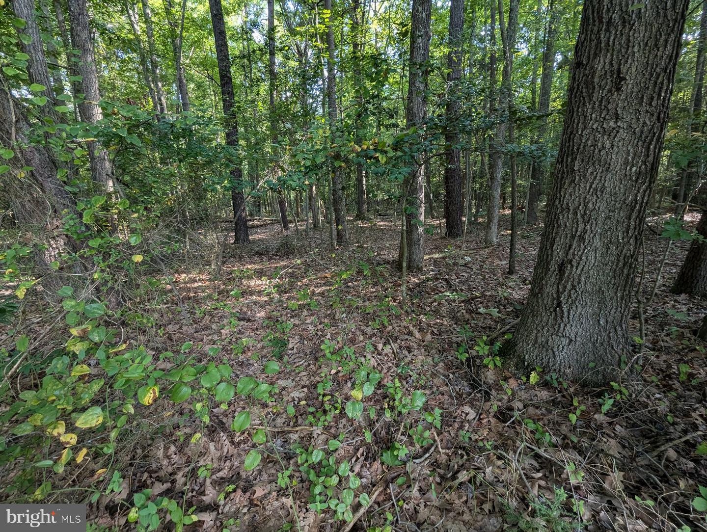 36810 Bushwood Property Photo 6