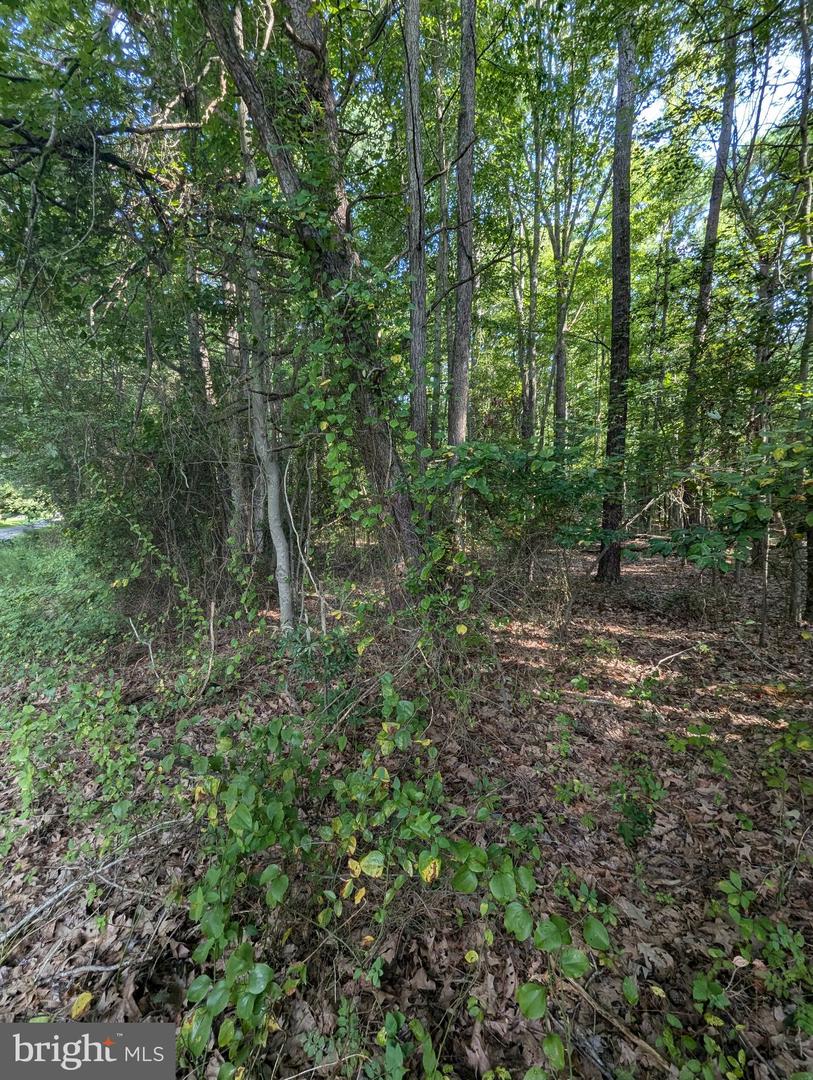 36810 Bushwood Property Photo 7