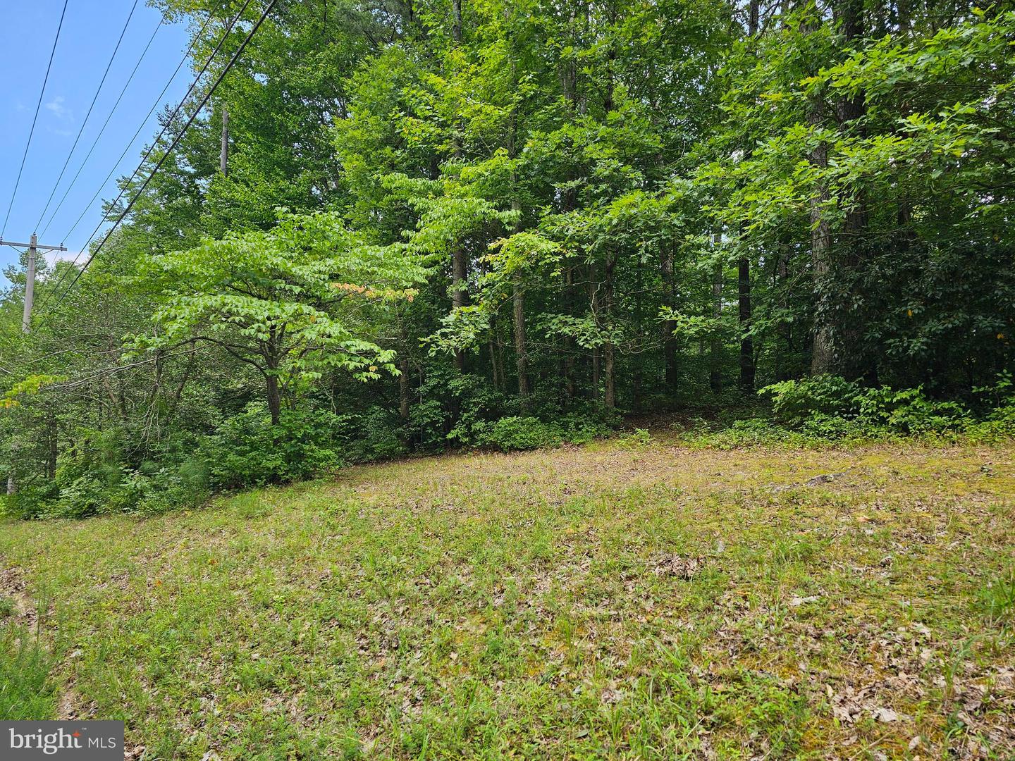 42070 Seabrook Ln Property Photo 2