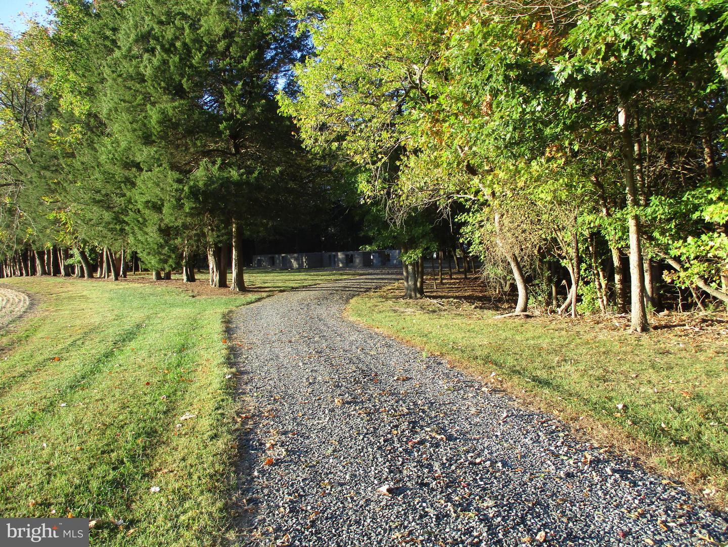 Bayside Rd Property Photo 25