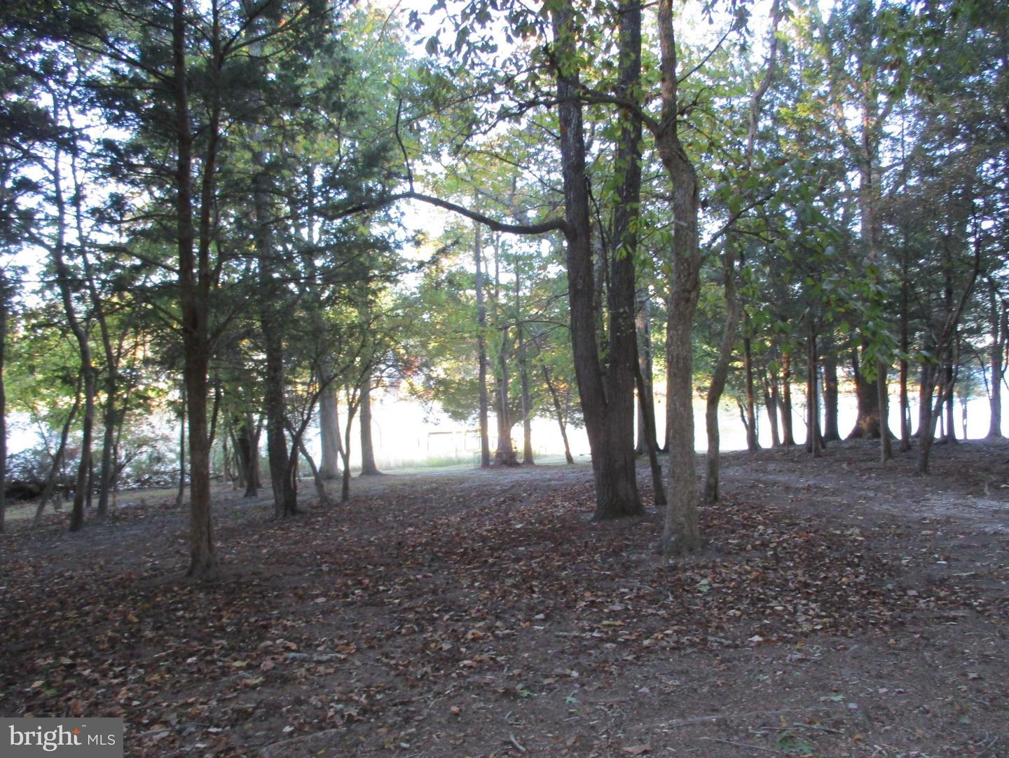 Bayside Rd Property Photo 30