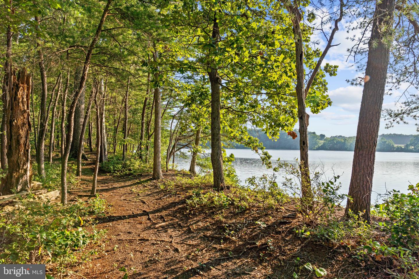 46502 Glen-mary Farm Rd Property Photo 30