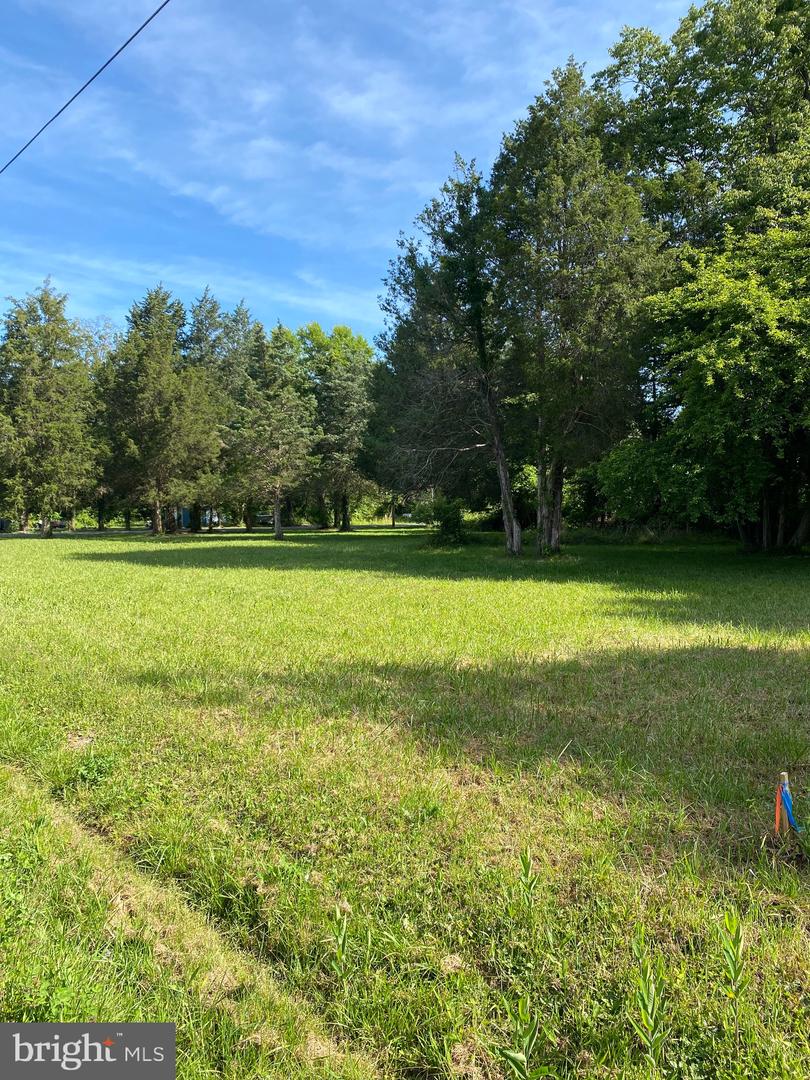 Owens Dr Property Photo 3