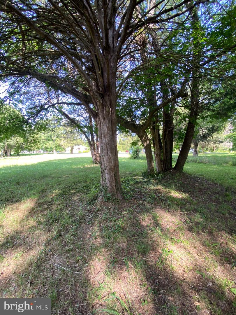 Owens Dr Property Photo 7
