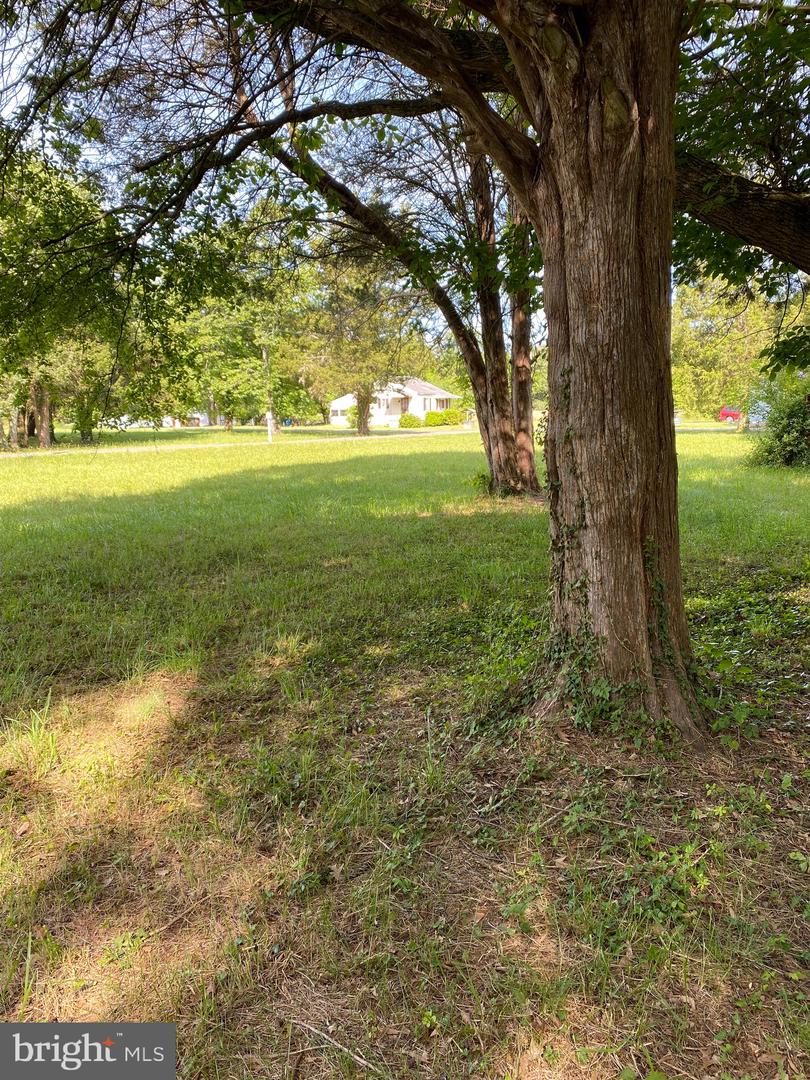 Owens Dr Property Photo 8