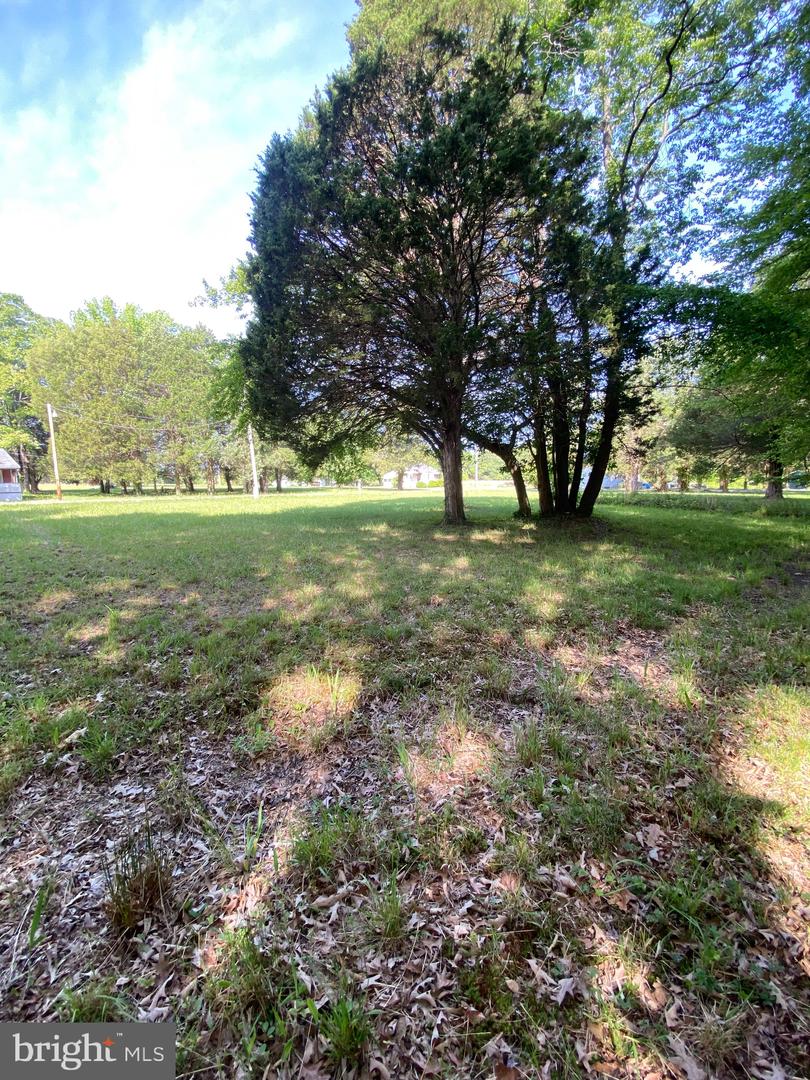Owens Dr Property Photo 9