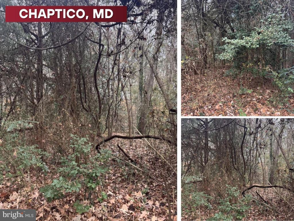Mill Point Rd Property Photo 1