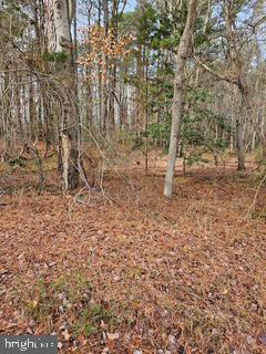 Abell Rd Property Photo 1