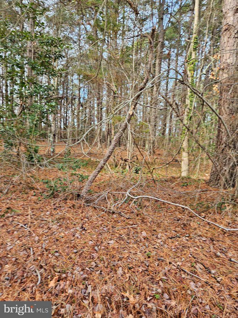 Abell Rd Property Photo 3