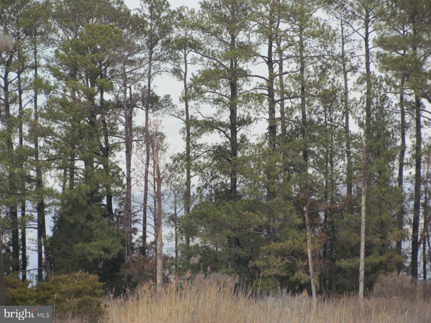 Piney Point Rd Property Photo