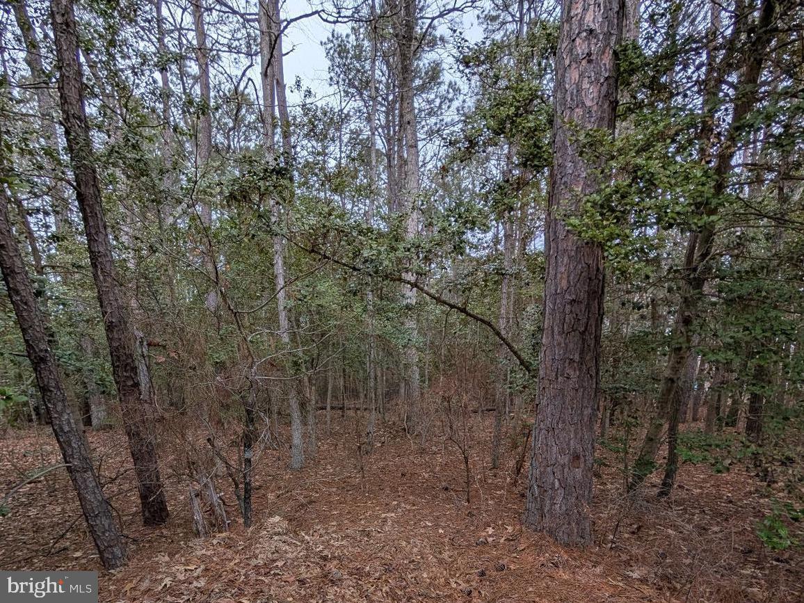 Abell Real Estate Listings Main Image