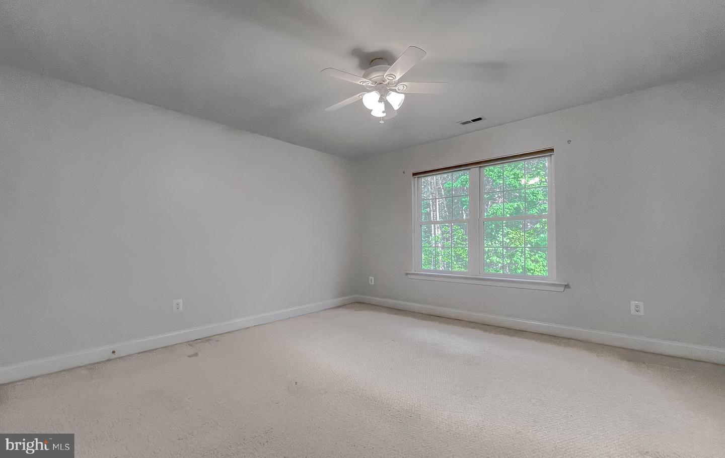 23273 Nicholson St Property Photo 40