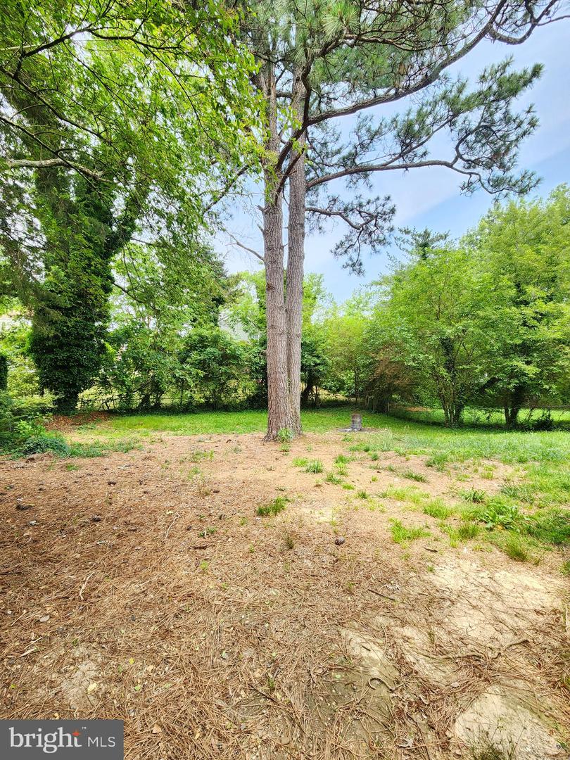 21713 Cabot Pl Property Photo 3