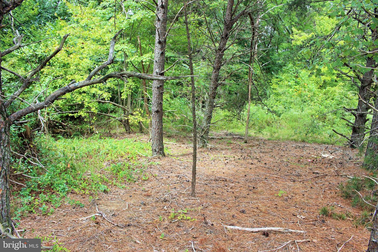 THREE NOTCH RD Property Photo 1