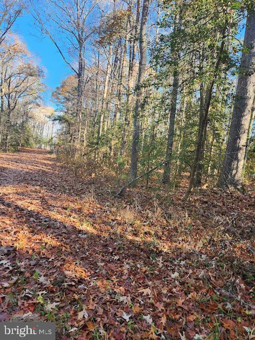 18500 Shipwreck Way Property Photo 4