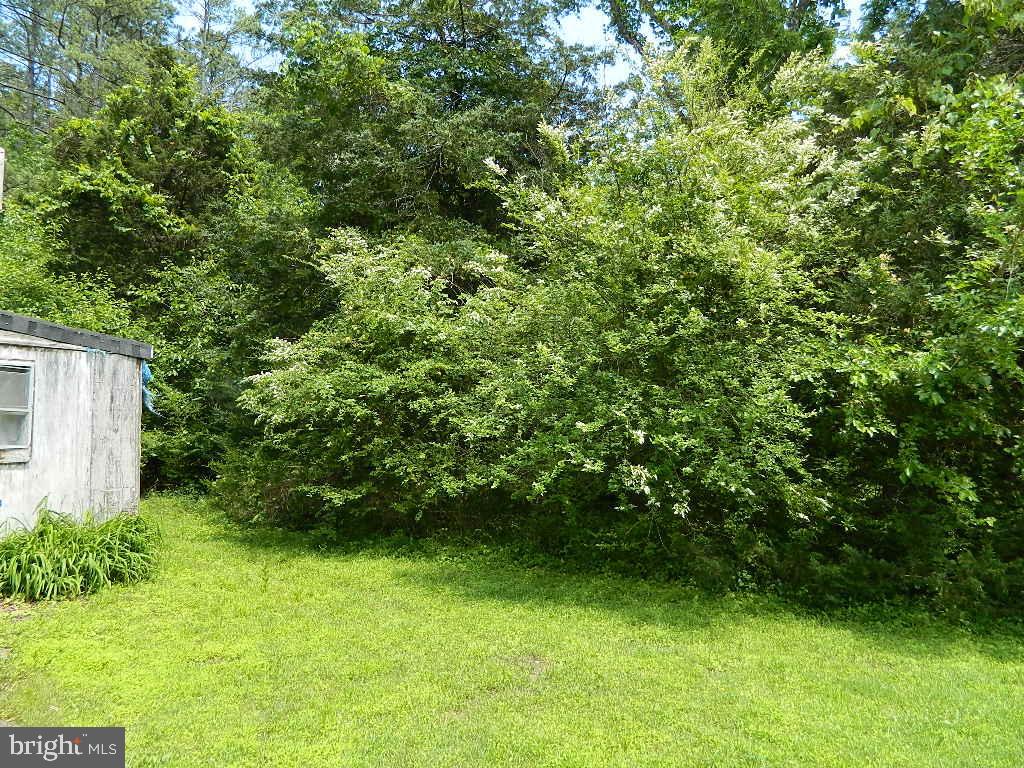 20944 Golden Thompson Rd Property Photo 4