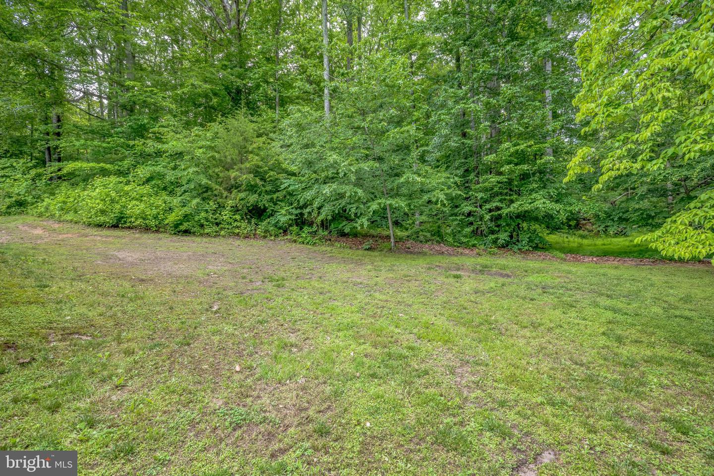 29542 Carol Ln Property Photo 48