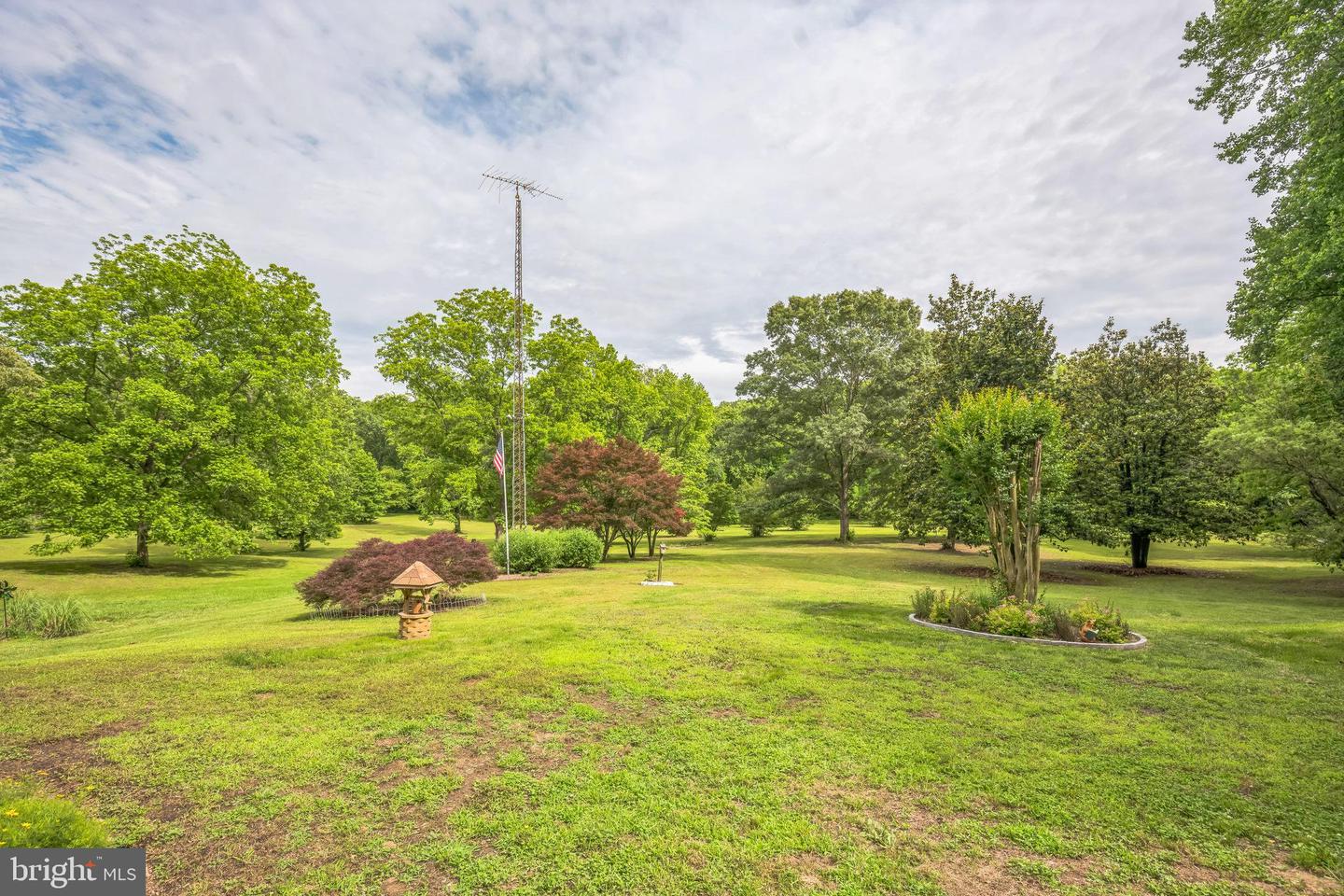 29542 Carol Ln Property Photo 49