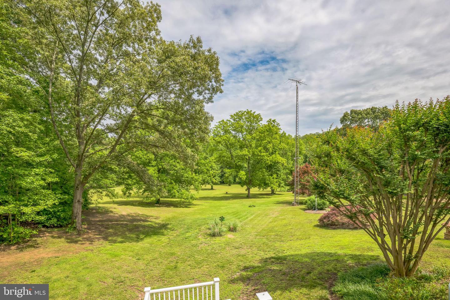 29542 Carol Ln Property Photo 50