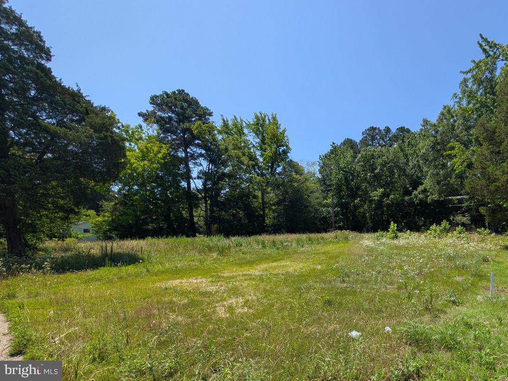 20225 Point Lookout Rd Property Photo 1