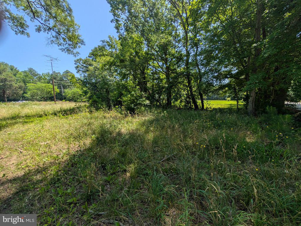 20225 Point Lookout Rd Property Photo 2