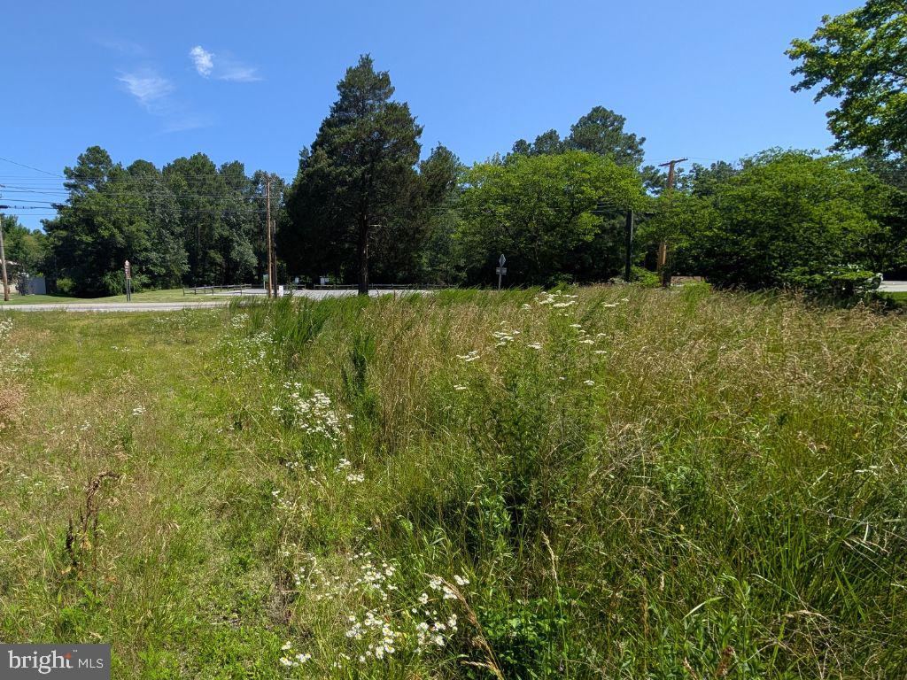 20225 Point Lookout Rd Property Photo 3