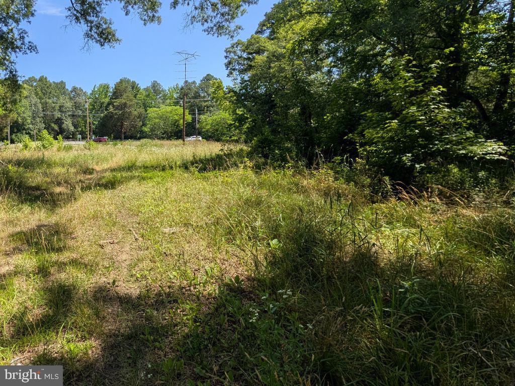 20225 Point Lookout Rd Property Photo 4
