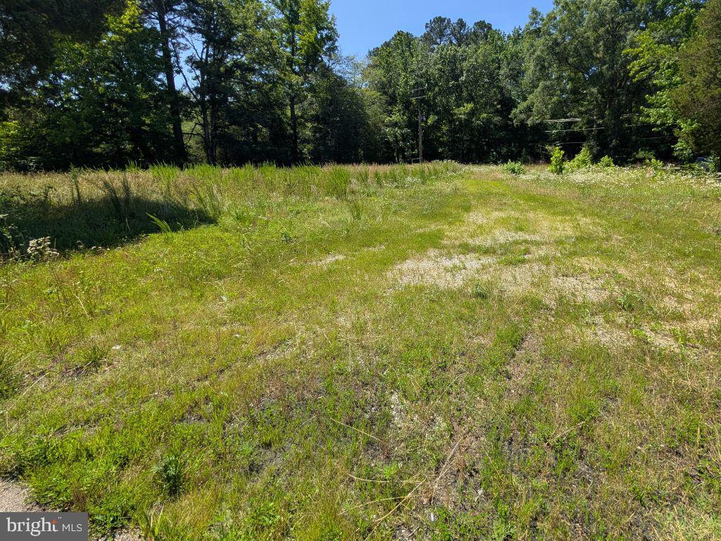20225 Point Lookout Rd Property Photo 5