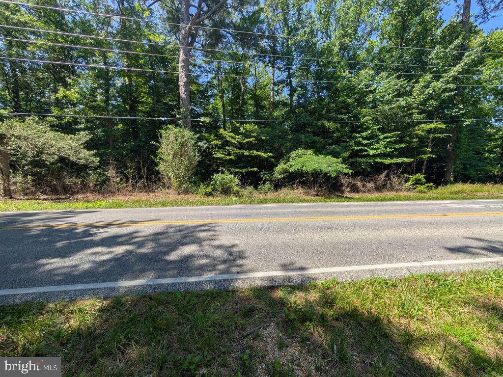 20225 Point Lookout Rd Property Photo 6