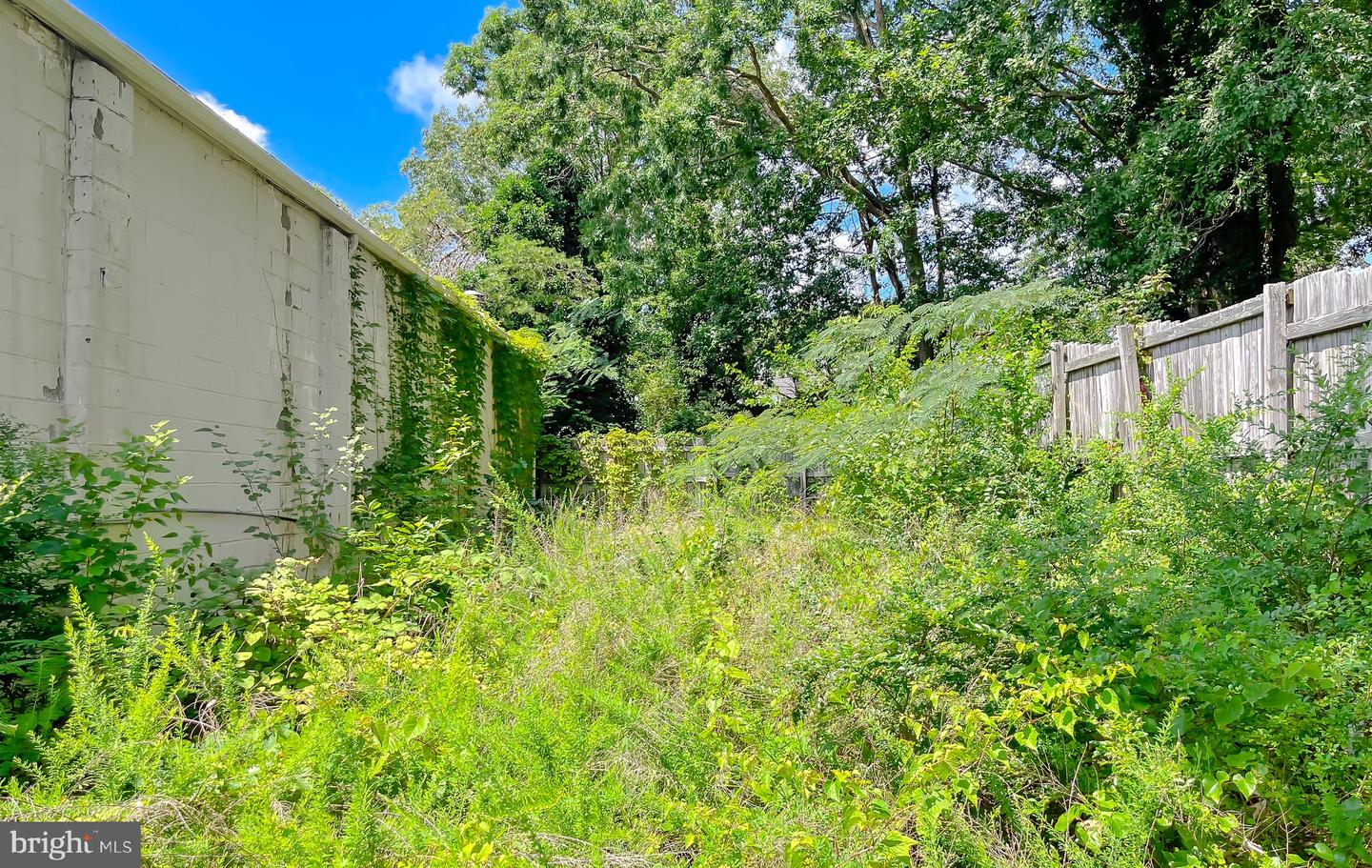 21697 Great Mills Rd Property Photo 42