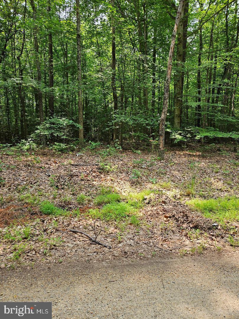 Wicomico Shores Property Photo 2