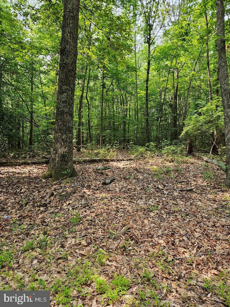 Wicomico Shores Property Photo 3
