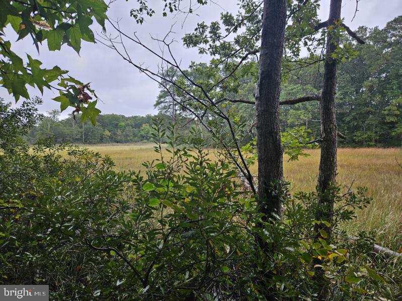 Lot 8 Section C Spring Lake Dr Dr Property Photo 1