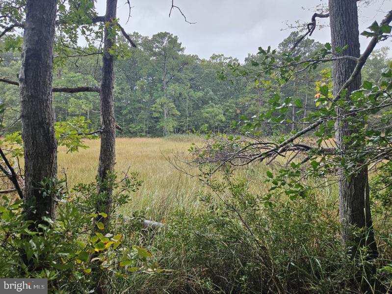 Lot 8 Section C Spring Lake Dr Dr Property Photo 2