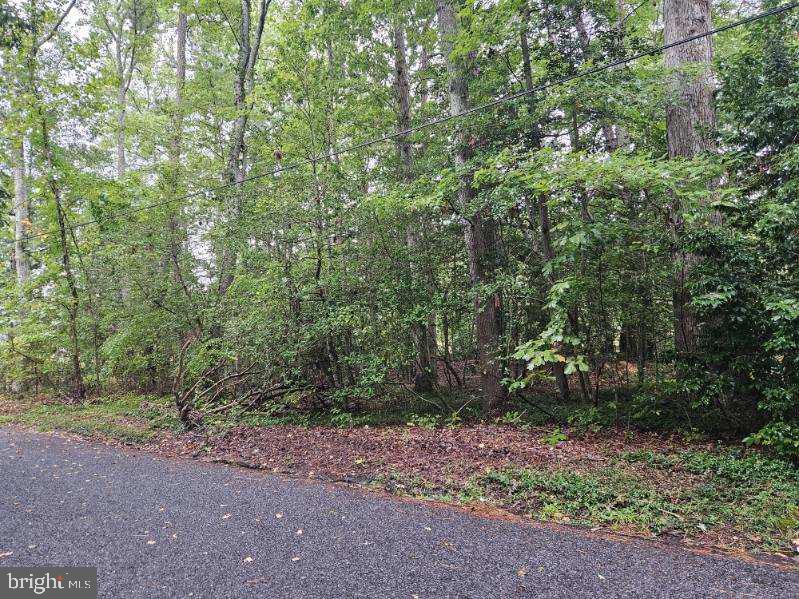 Lot 8 Section C Spring Lake Dr Dr Property Photo 3