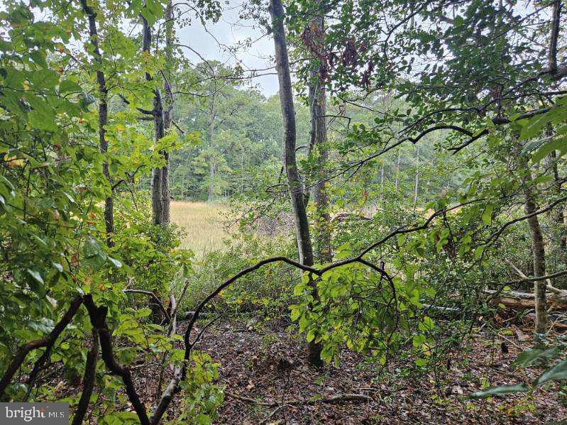 Lot 8 Section C Spring Lake Dr Dr Property Photo 4