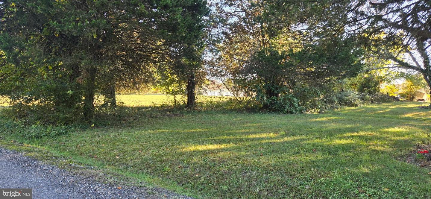 36685 Owens Dr Property Photo 2
