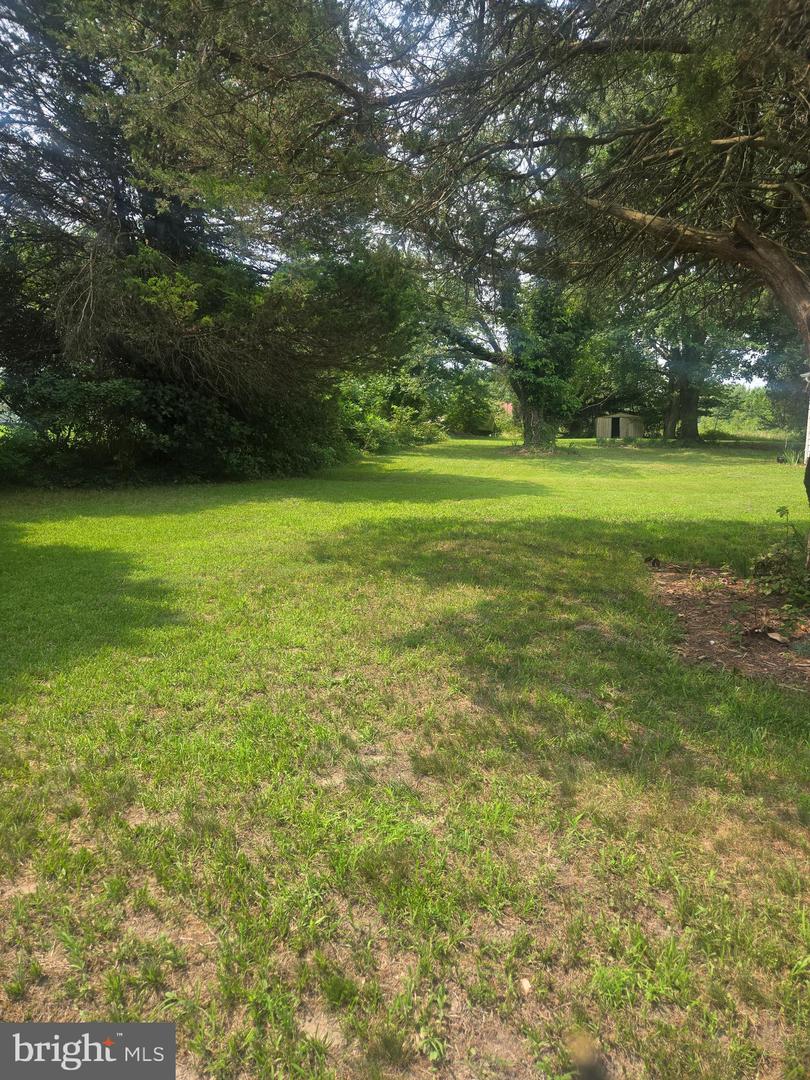 36685 Owens Dr Property Photo 4