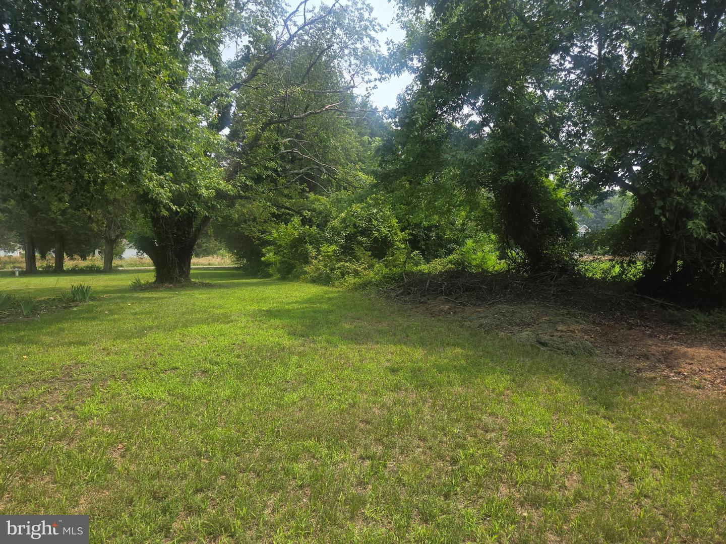36685 Owens Dr Property Photo 5