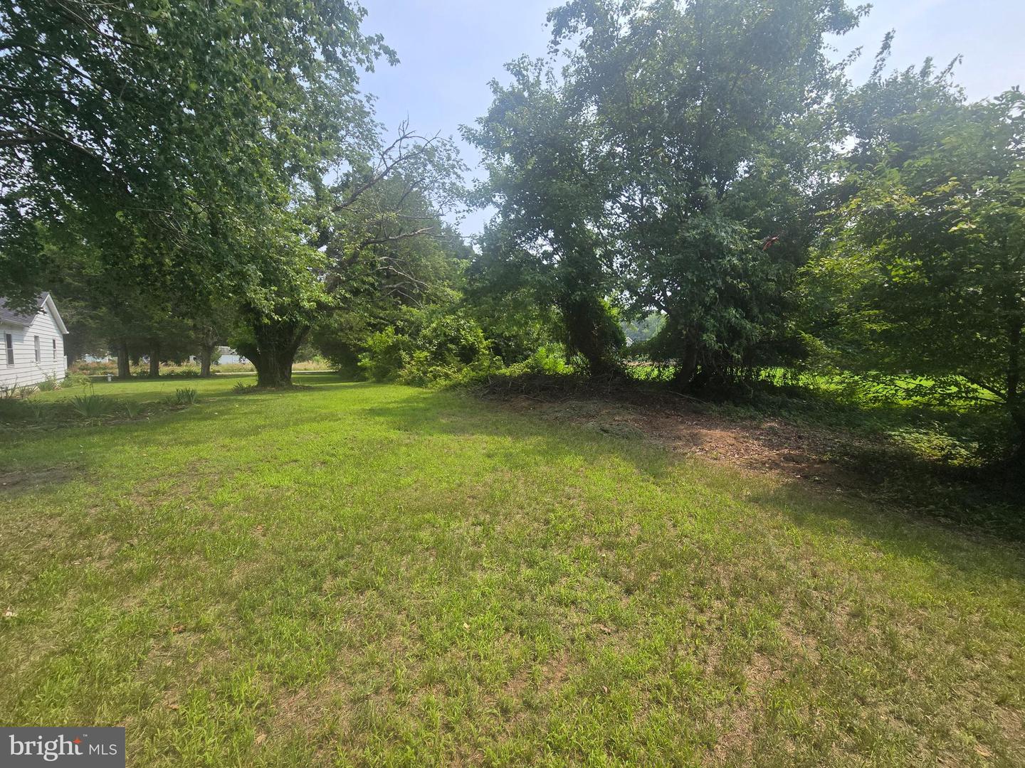 36685 Owens Dr Property Photo 6