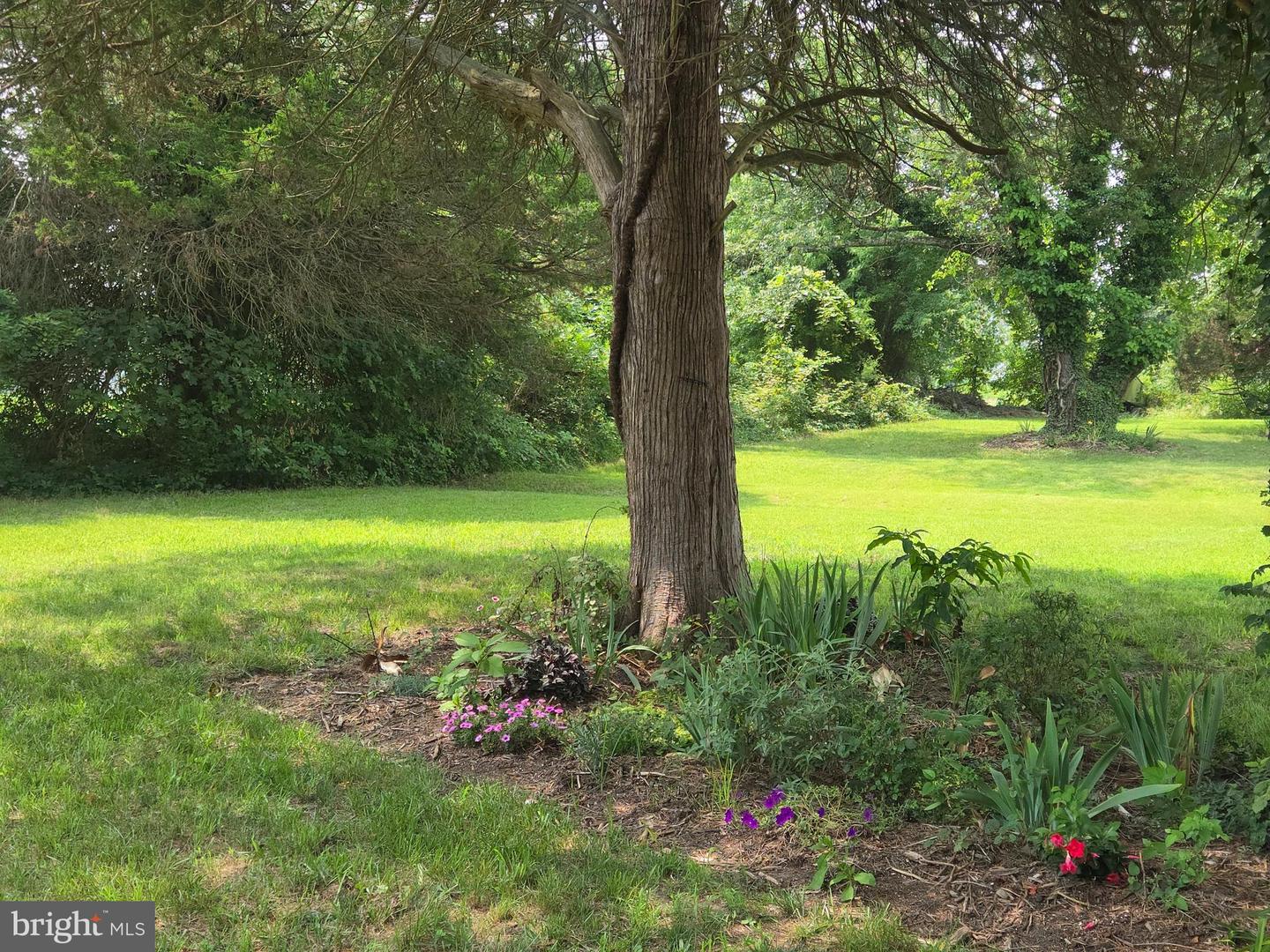 36685 Owens Dr Property Photo 8