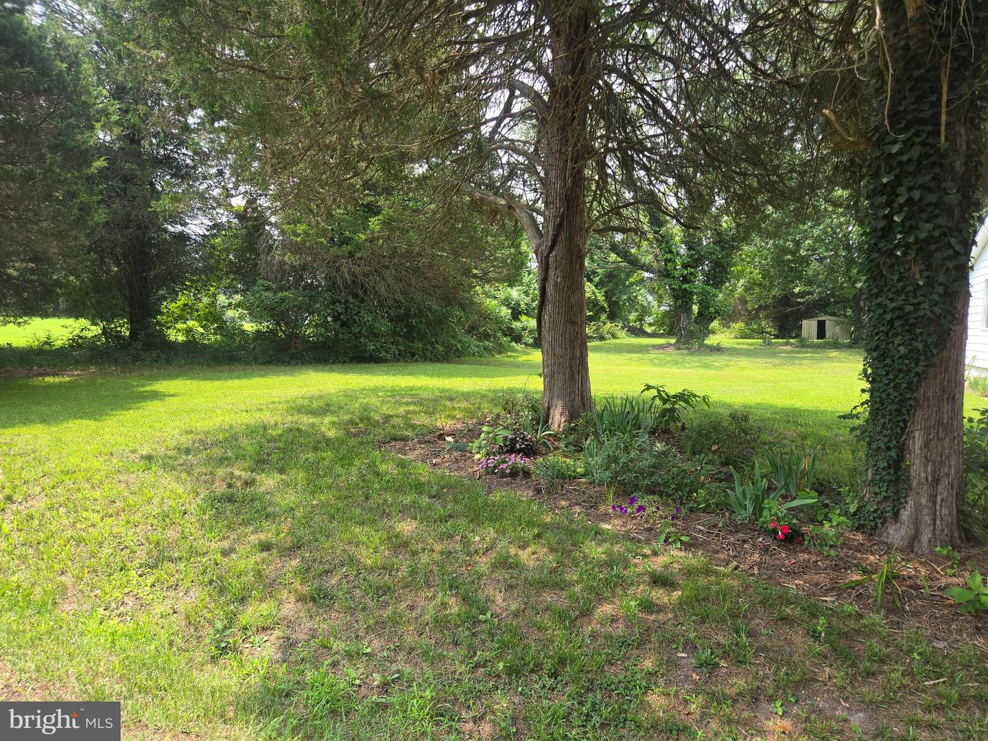 36685 Owens Dr Property Photo 9