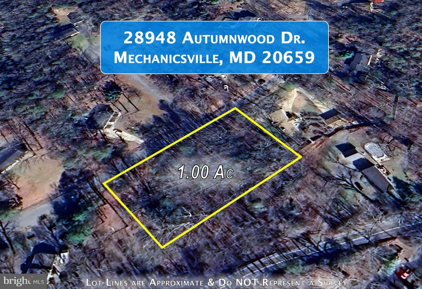 28948 Autumnwood Dr Property Photo 1